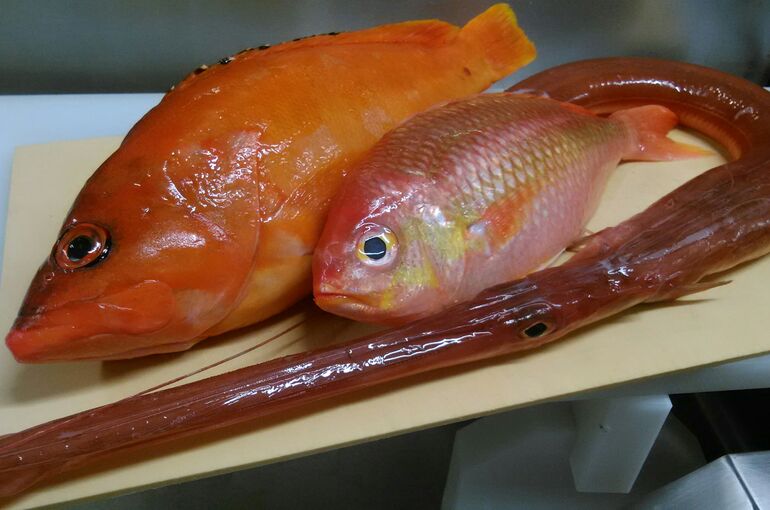 1606393797525-712113572